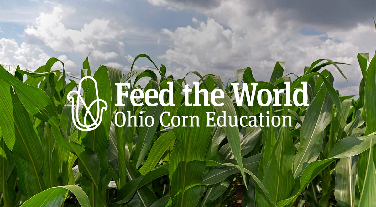 Resources from Feed the World Available in Open Space